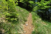 Al Pizzo Grande e al Monte Molinasco da Alino di S. Pellegrino il 25 maggio 2020-FOTOGALLERY